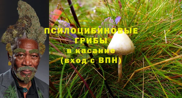 не бодяженный Абдулино