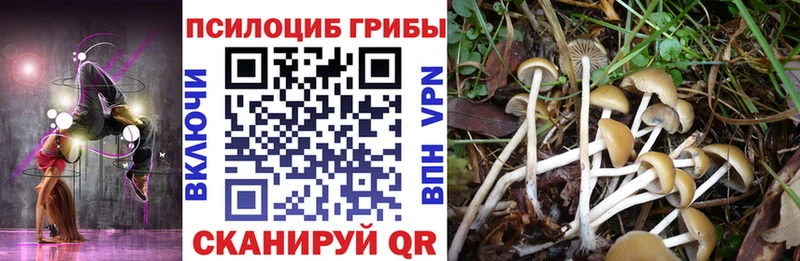 где можно купить наркотик  мега рабочий сайт  Галлюциногенные грибы мухоморы  Яранск 